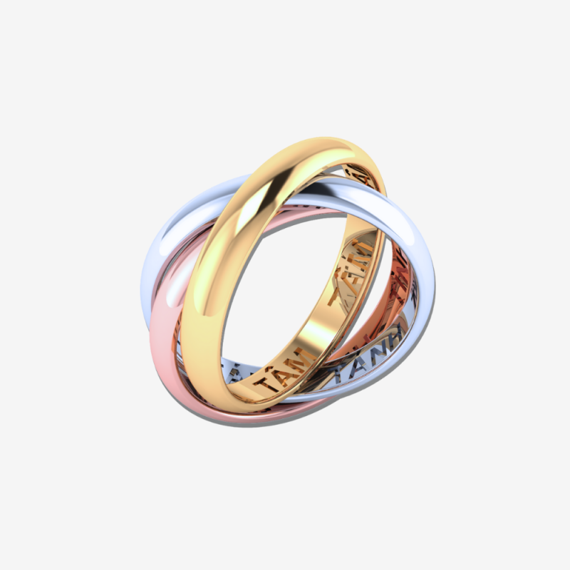 NH-0004-nhan-long-tam-tanh-tinh-01